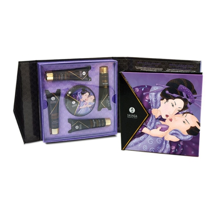 Набор Shunga Geisha's Secret